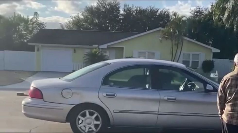 Dog drove car for an hour in Florida