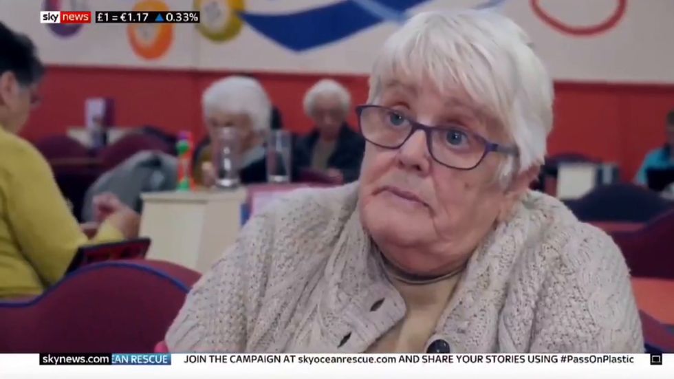 Woman makes Oxo Brexit joke on Sky News