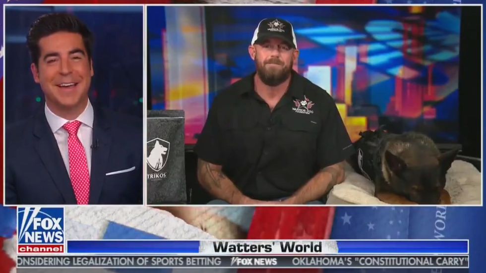 Fox News guest invited to talk about military dogs blurts out: Jeffrey ‘Epstein Didn’t Kill Himself’