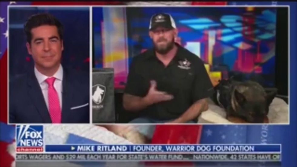 Military dog handler blurts out Jeffrey Epstein conspiracy theory live on Fox News