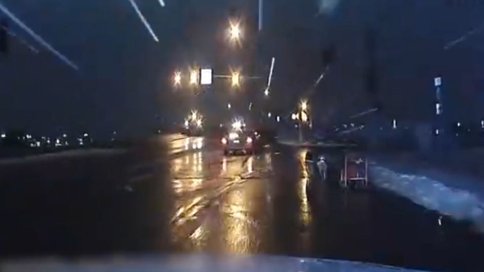 Runaway dog sled leads police on chase through Billings, Montana
