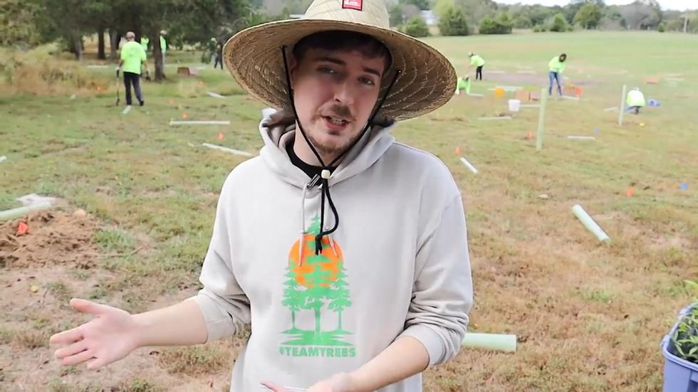 Youtuber MrBeast starts tree-planting campaign 'Team Trees'