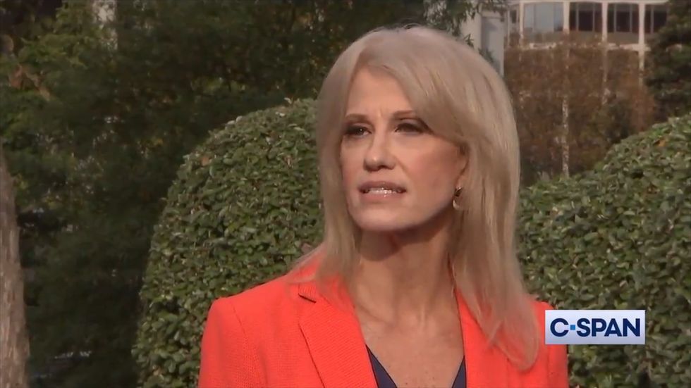 Kellyanne Conway: 'If I threaten someone you'll know it'
