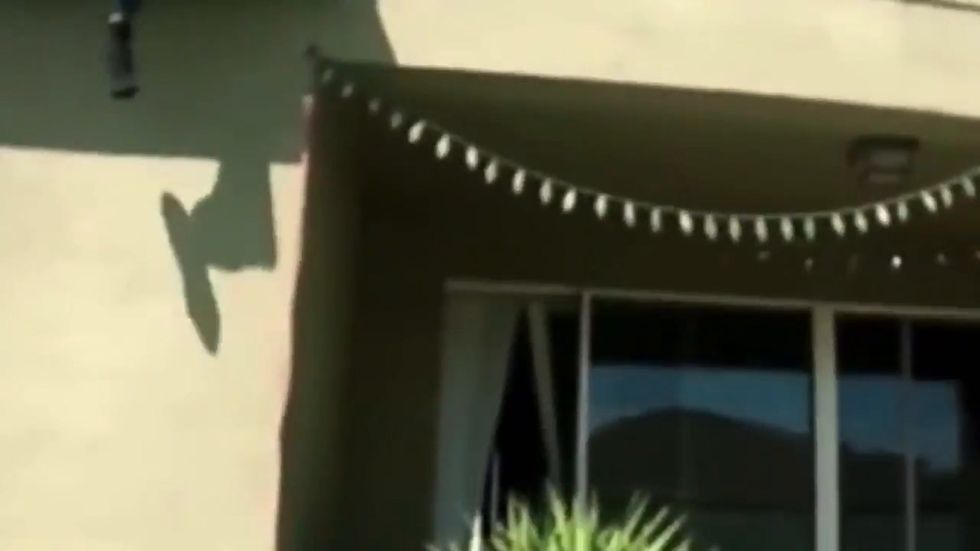 Florida police officers push teenage suspect off roof before arresting him