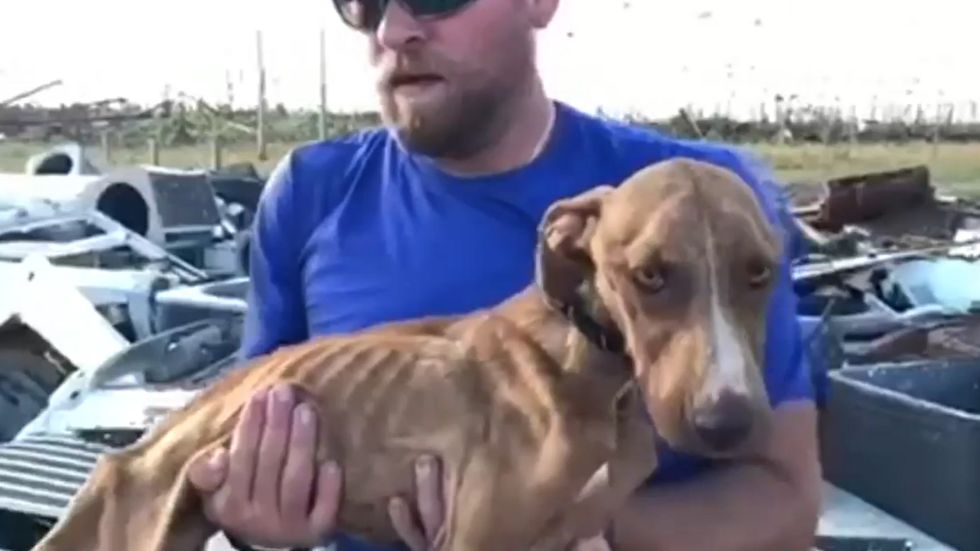 Puppy trapped by Hurricane Dorian found alive a month later