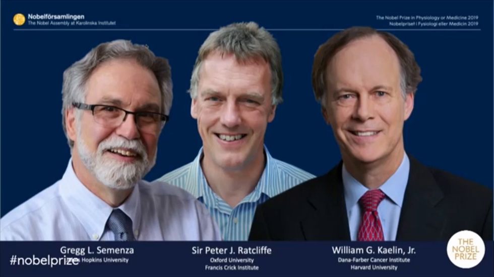 Nobel Prize for medicine  won by William Kaelin, Sir Peter Ratcliffe and Gregg Semenza