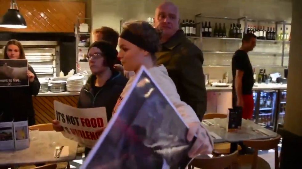 Man punches protester in face during animal rights demonstration in Pizza Express