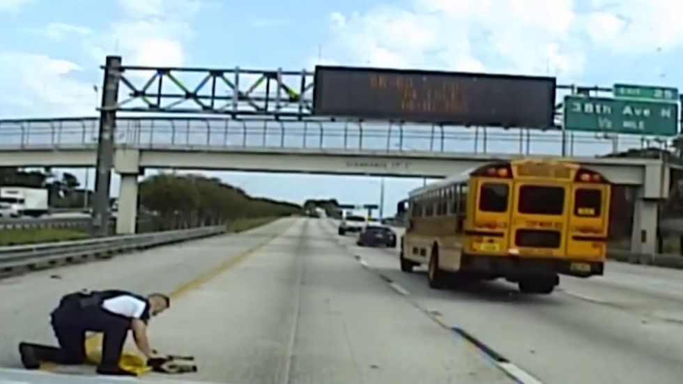 Dashcam captures moment brave police officer rescues dog from busy road in Tampa