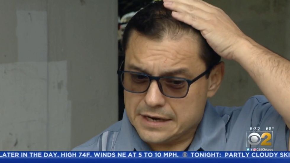 Man gets pooed on by a pigeon while complaining about pigeon poo