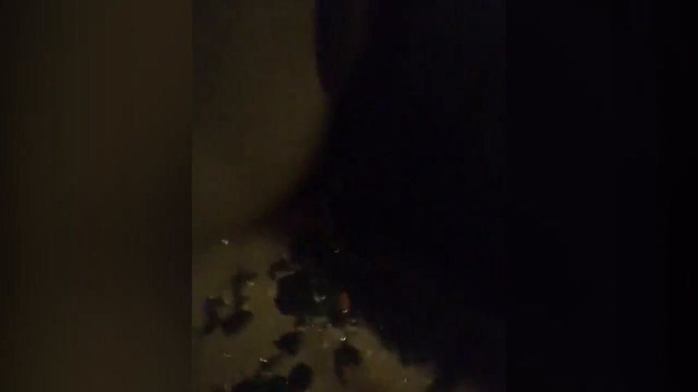 Activist covered in blood after being 'shot at' by farmers in attempt to free rabbits