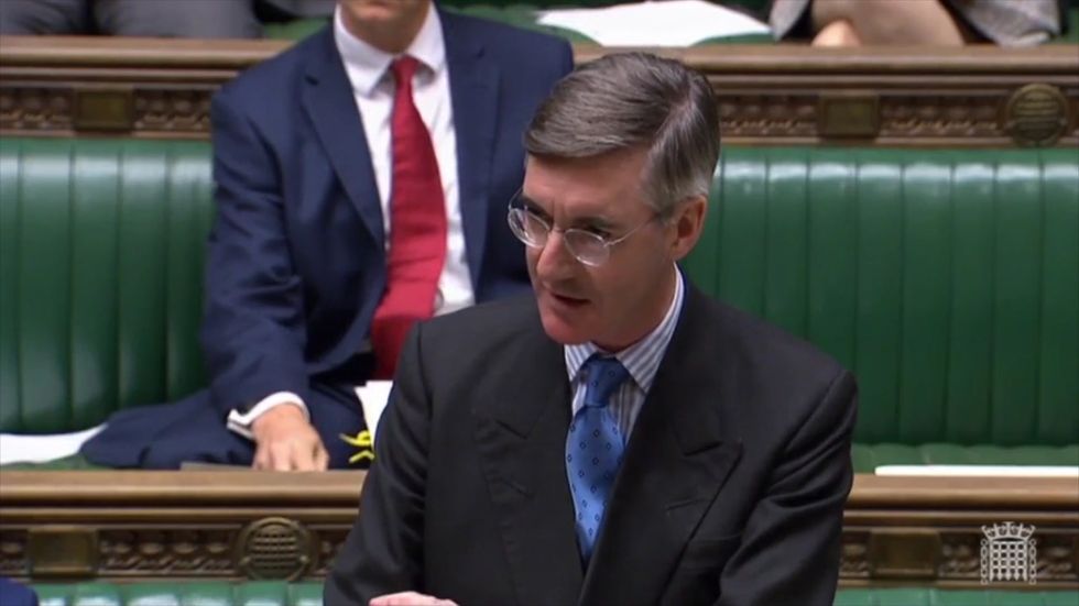 Jacob Rees-Mogg likens doctor to disgraced anti-vaxxer for warning of deaths after no-deal Brexit