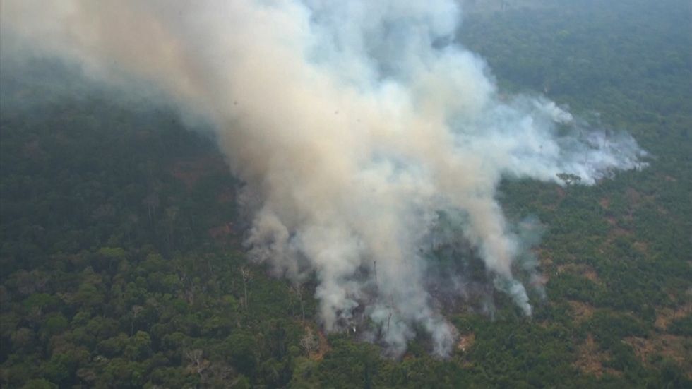 Aerial footage shows Amazon wildfires burning and devastation left behind
