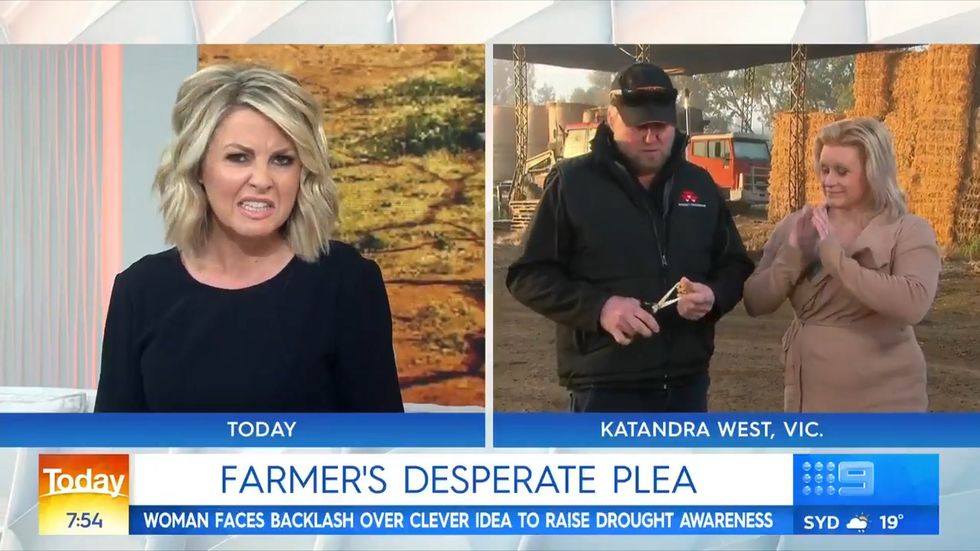 Farmer destroys rare  Lion King Woolworths Ooshie  on TV 