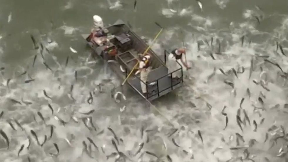 Kentucky wildlife officials use electrofishing to fight invasive species