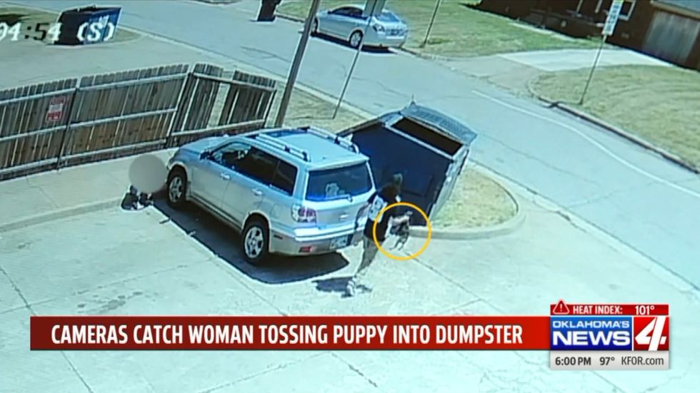 Woman throws puppy in to a bin