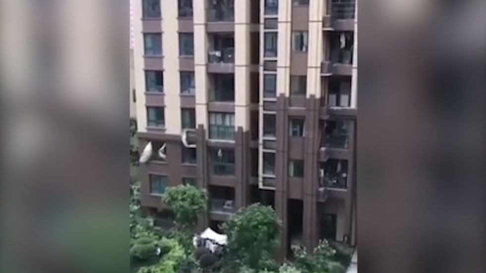 Chinese toddler falls from apartment and survives