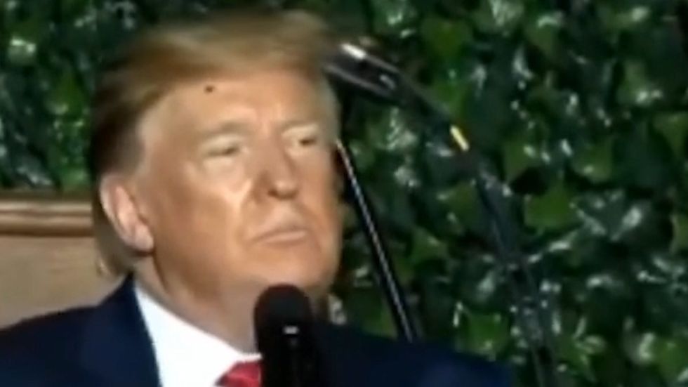 Bug crawls through Donald Trump's hair during speech