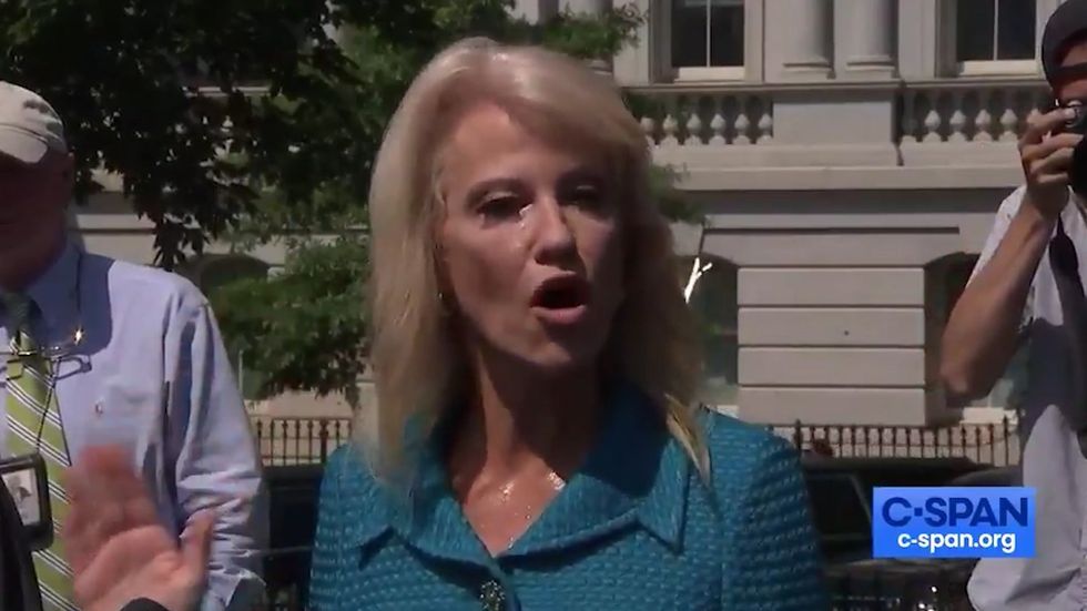 Kellyanne Conway 'A lot of us are sick and tired of this country'