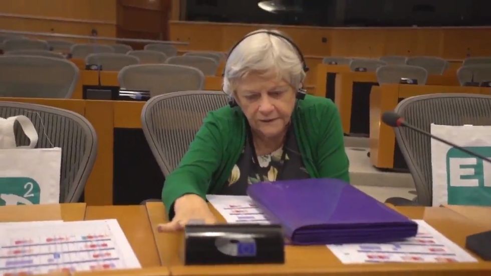 Brexit Party MEPs complain after arriving at the European Parliament for the first time