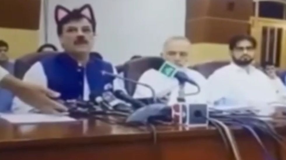 Cat filter switched on during regional government live stream in Pakistan