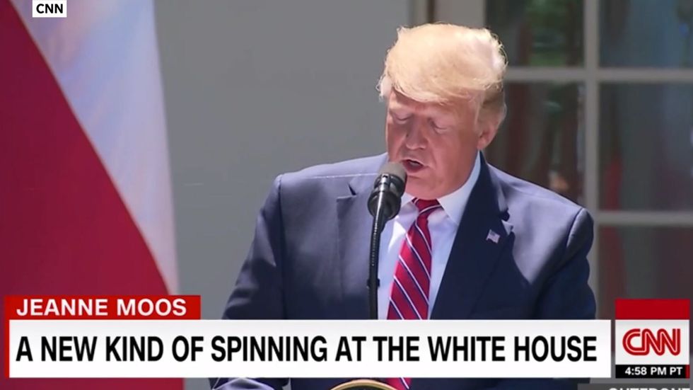 Spider web upstages Trump at press conference