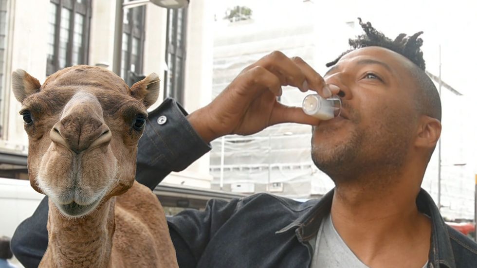 Here's what people had to say after trying camel milk