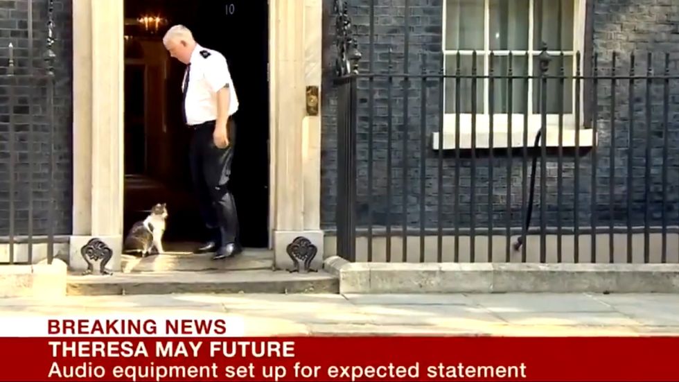 Larry the Cat brought inside before Theresa May made her speech