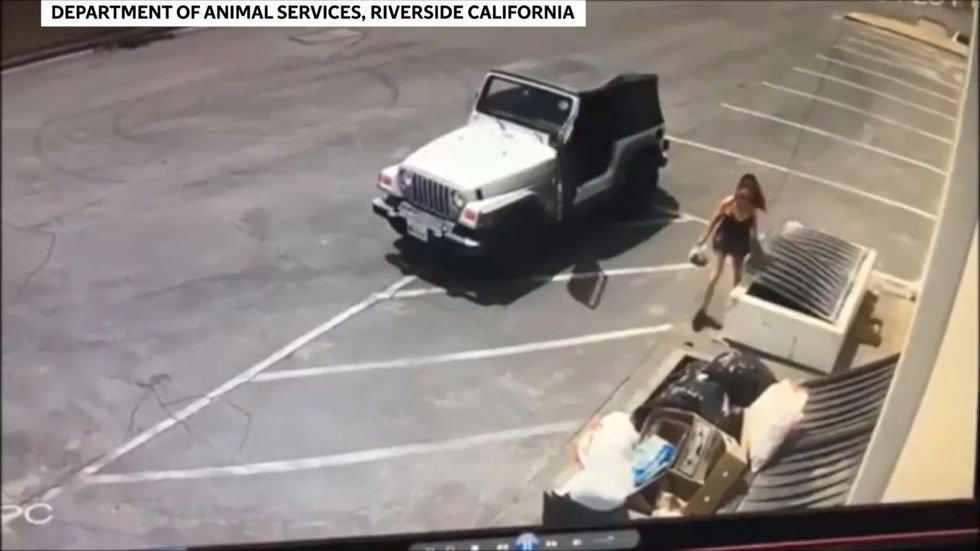 Police appeal after woman filmed dumping puppies in bin in Coachella, California