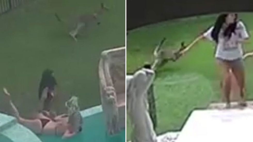 Kangaroo crashes photoshoot, chases models, causes chaos