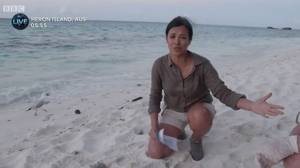 Blue Planet Live: Seagull appears to eat baby turtle 