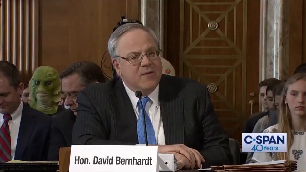 Woman wears monster mask during Senate Energy and Natural Resources Committee confirmation hearings for Trump appointee David Bernhardt