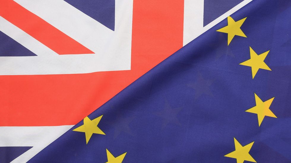 Brexiteer says UK will cope with a no deal because 'we've got plenty of rabbits'