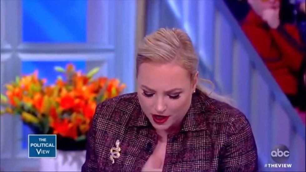 Meghan McCain tries to burn Washington governor Jay Inslee on Green New Deal