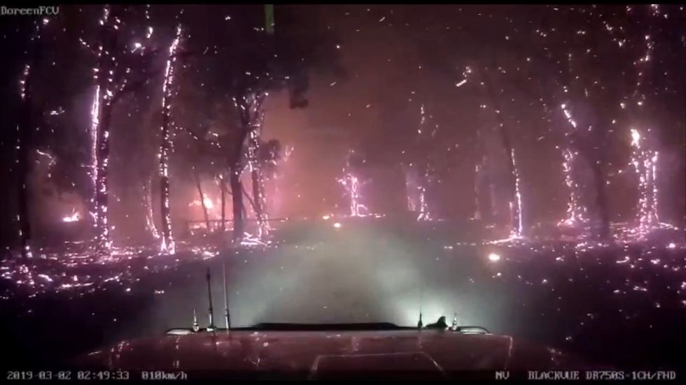 Australia bushfires: Flaming trees glow pink in mesmerising video filmed in Melbourne
