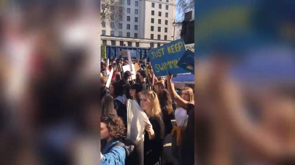 School kids take part in environmental protest