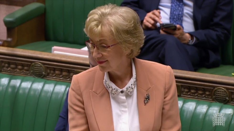 Andrea Leadsom begins the Brexit debate with a Valentine's Day poem