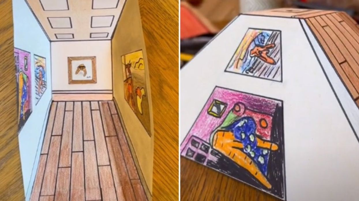 Optical illusion that went viral on TikTok is leaving everyone questioning what is going on