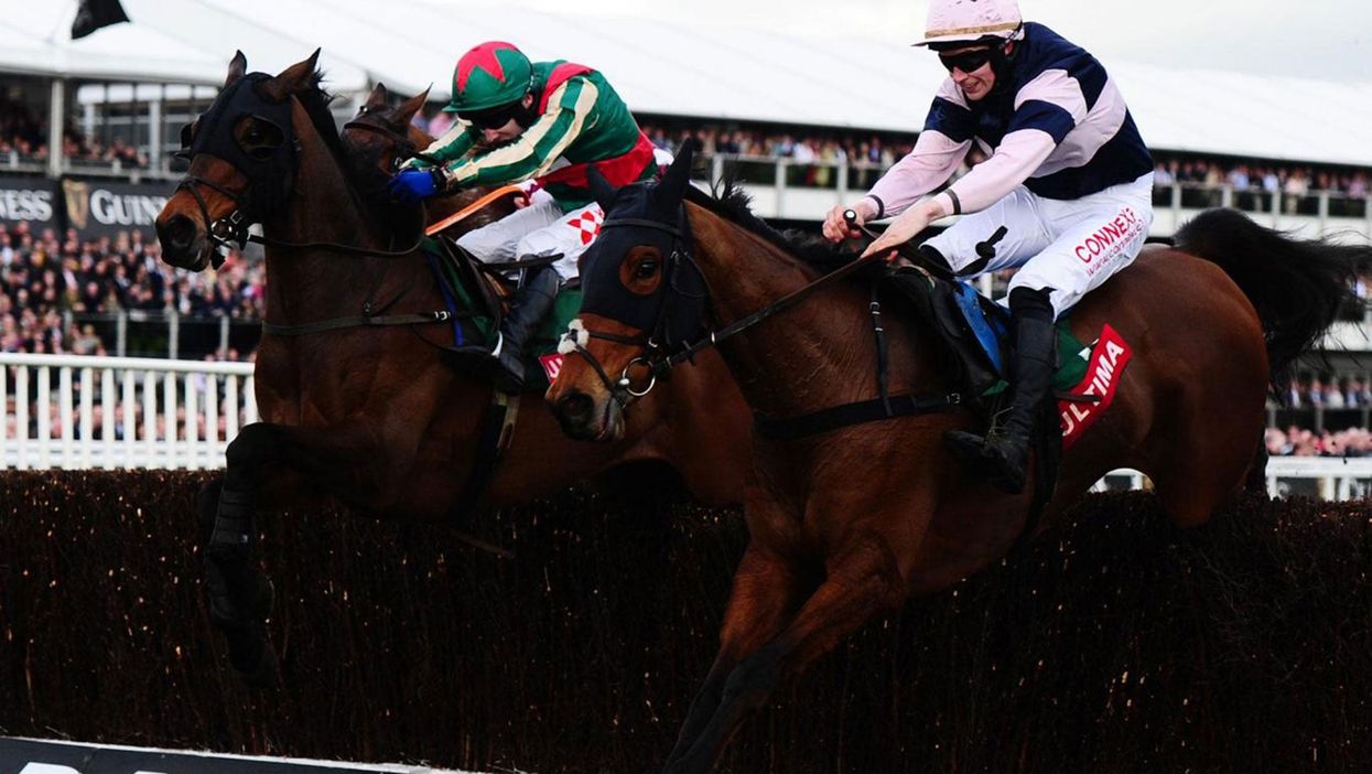 Radio 4 tips horse ‘Seymour Cox’ in hilarious slip-up and listeners can’t get enough