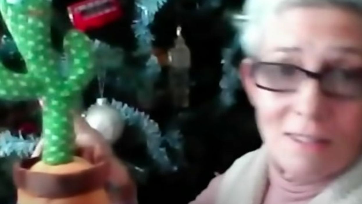 Dancing cactus toy sold in Walmart goes viral after it emerges that it raps about cocaine
