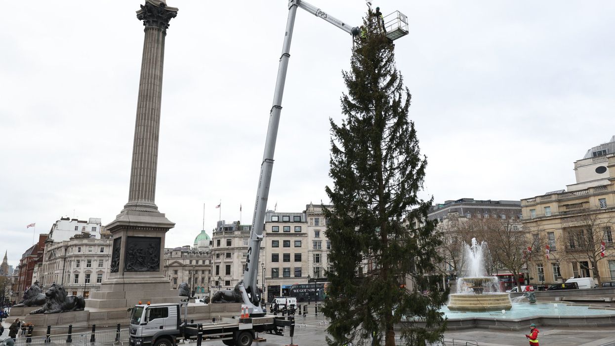Trafalgar Square’s ‘flea bitten’ Christmas tree is roasted: ‘It looks like it has a bad hangover’