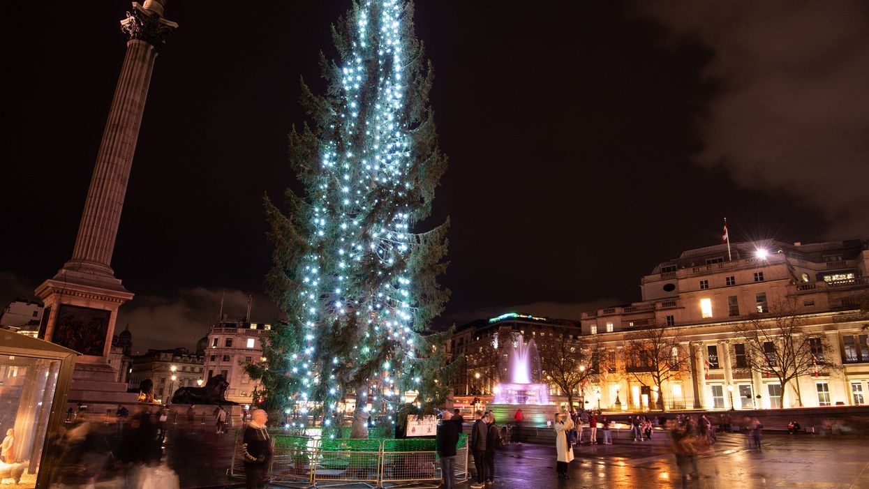 Will Norway send a better tree to Trafalgar Square? Oslo to vote on gifting new one to London after backlash