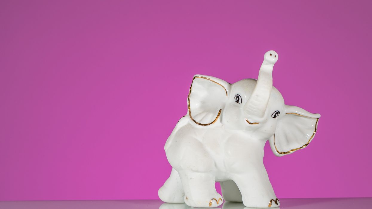 10 white elephant gifts under $40 that people will actually like