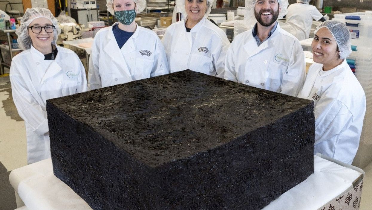 Cannabis company bakes the world’s largest weed brownie weighing 850lbs