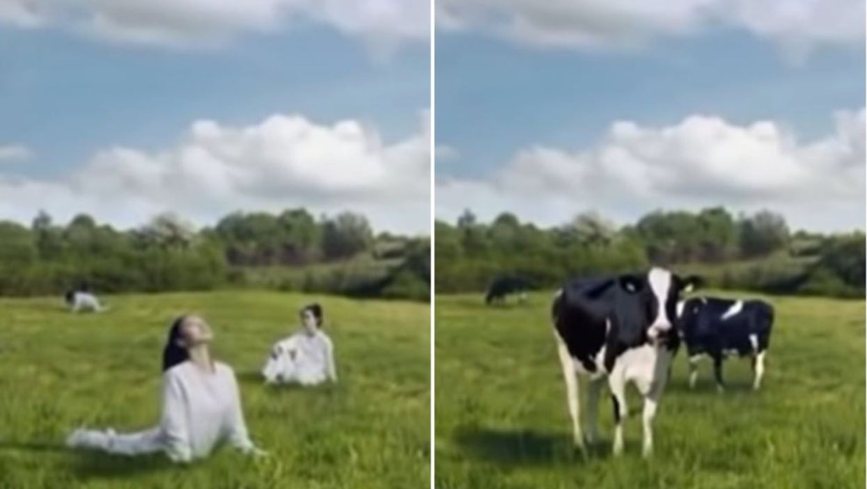 Korean dairy company apologises over advert portraying women as cows to be milked