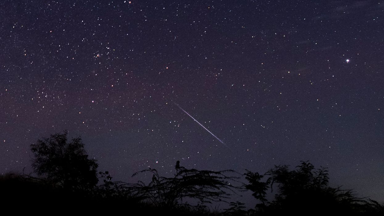 When to see spectacular Geminid meteor shower as shooting stars to light up night sky