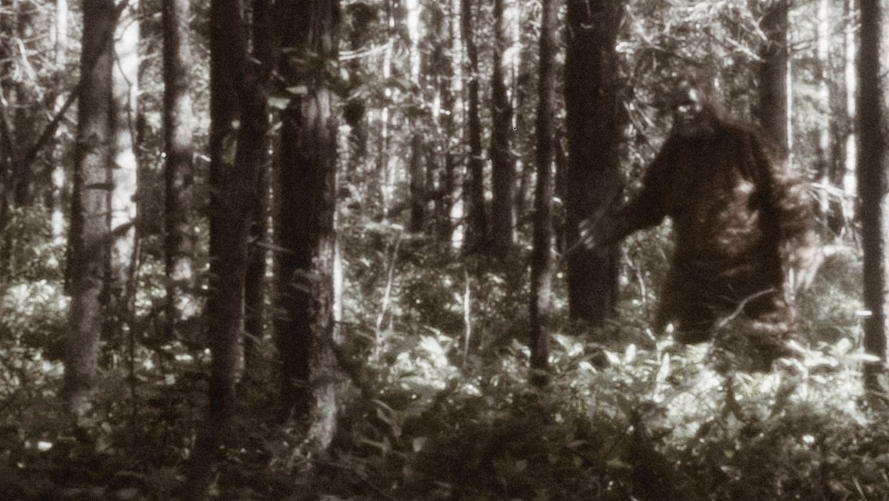 Men left in ‘disbelief’ after apparently spotting a Bigfoot-like ‘yowie’ creature in remote Australian town