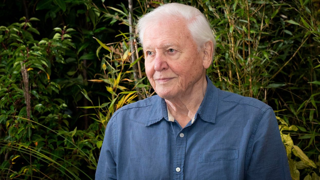 Sir David Attenborough joins Hey Duggee to sing the praises of plants