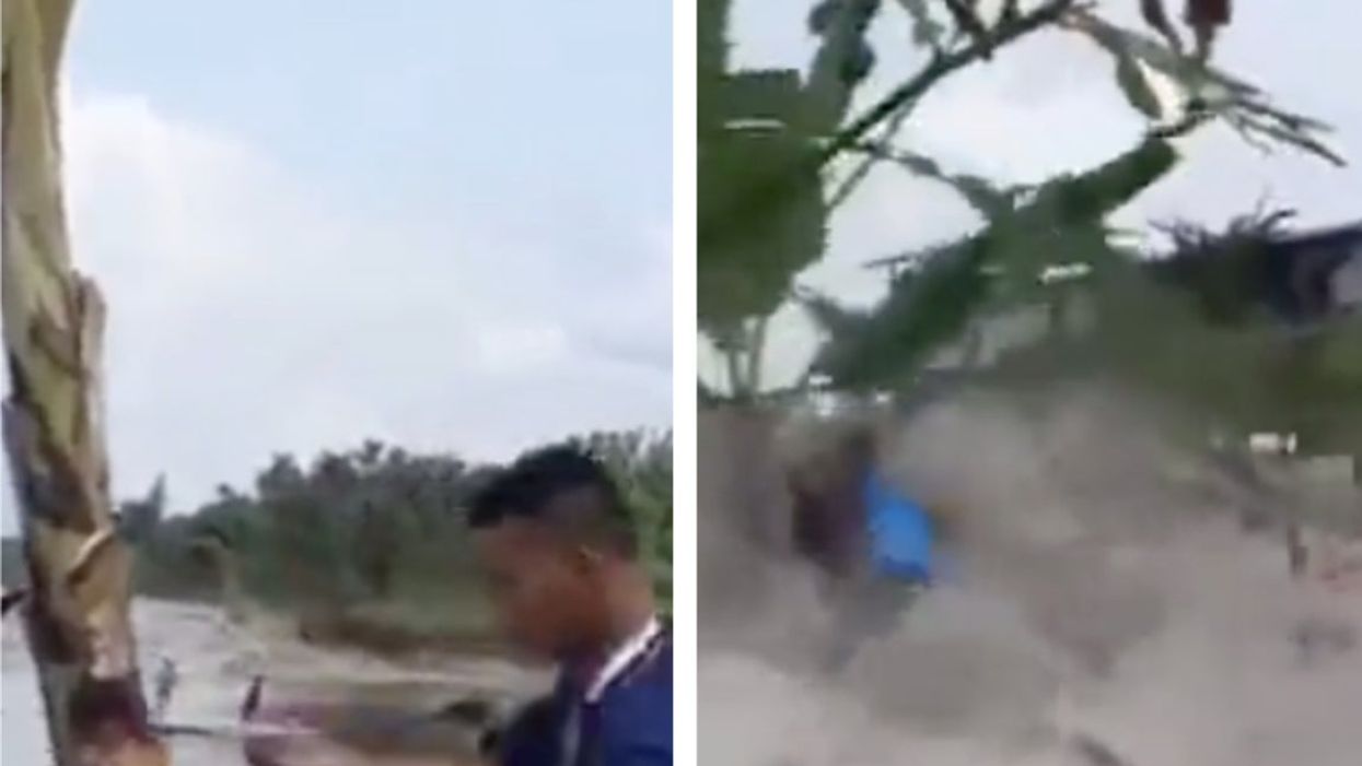 No, an influencer didn’t didn’t start punching a tree during the Tonga tsunami