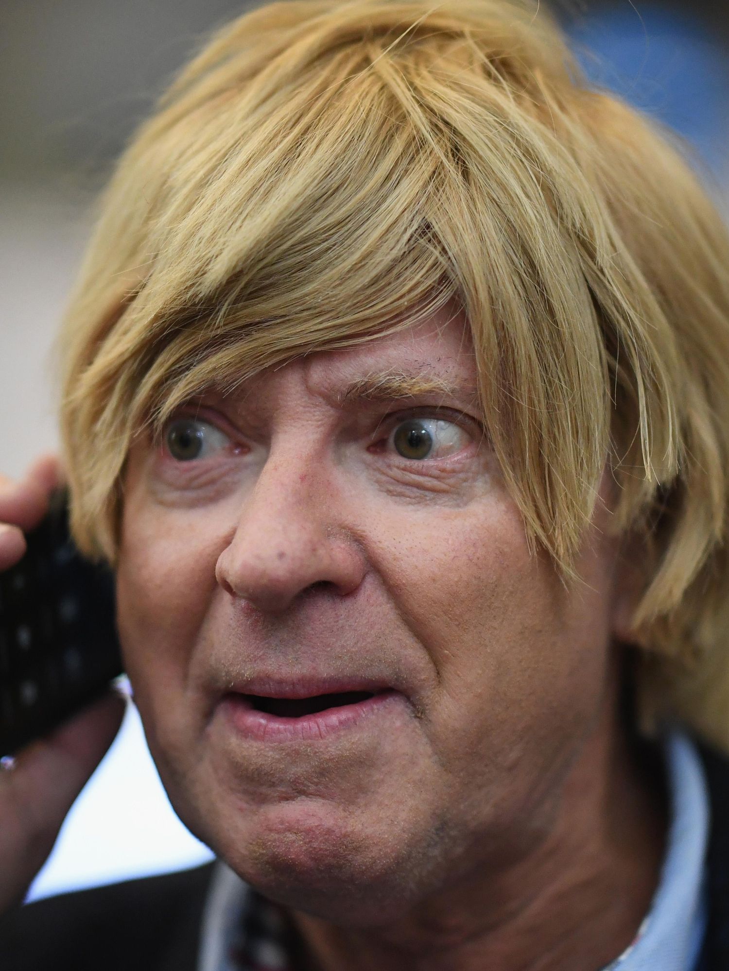 Is Michael Fabricant's hair real?