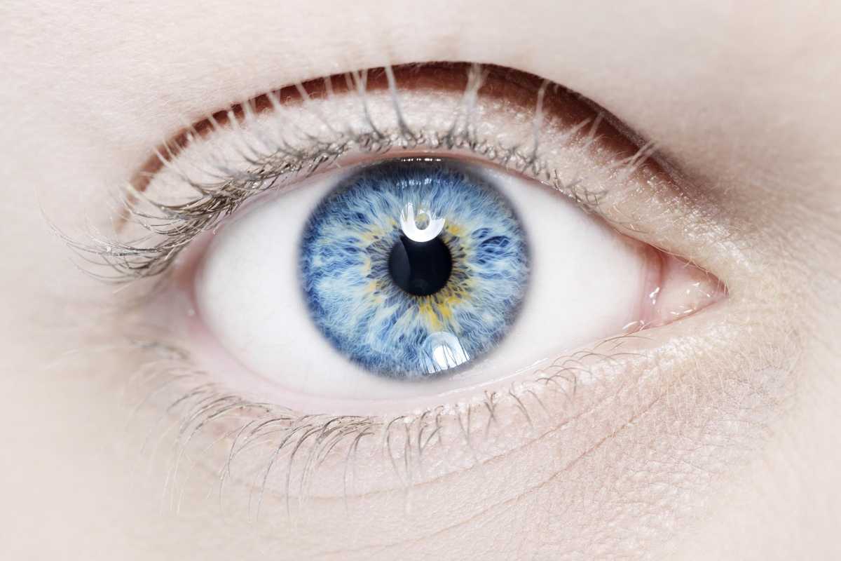 Scientists have managed to 'reverse death' by bringing body part back to life